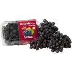 UVA PRETA S/SEMENTE BDJ